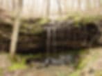 Dripping Springs Farm