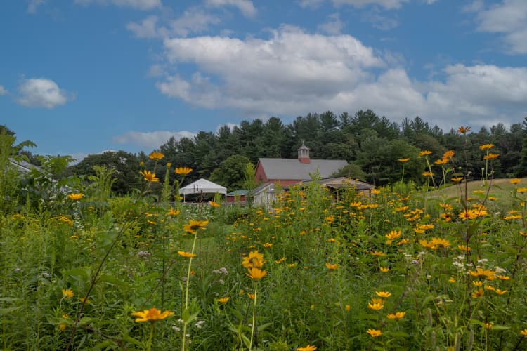 Drumlin Farm