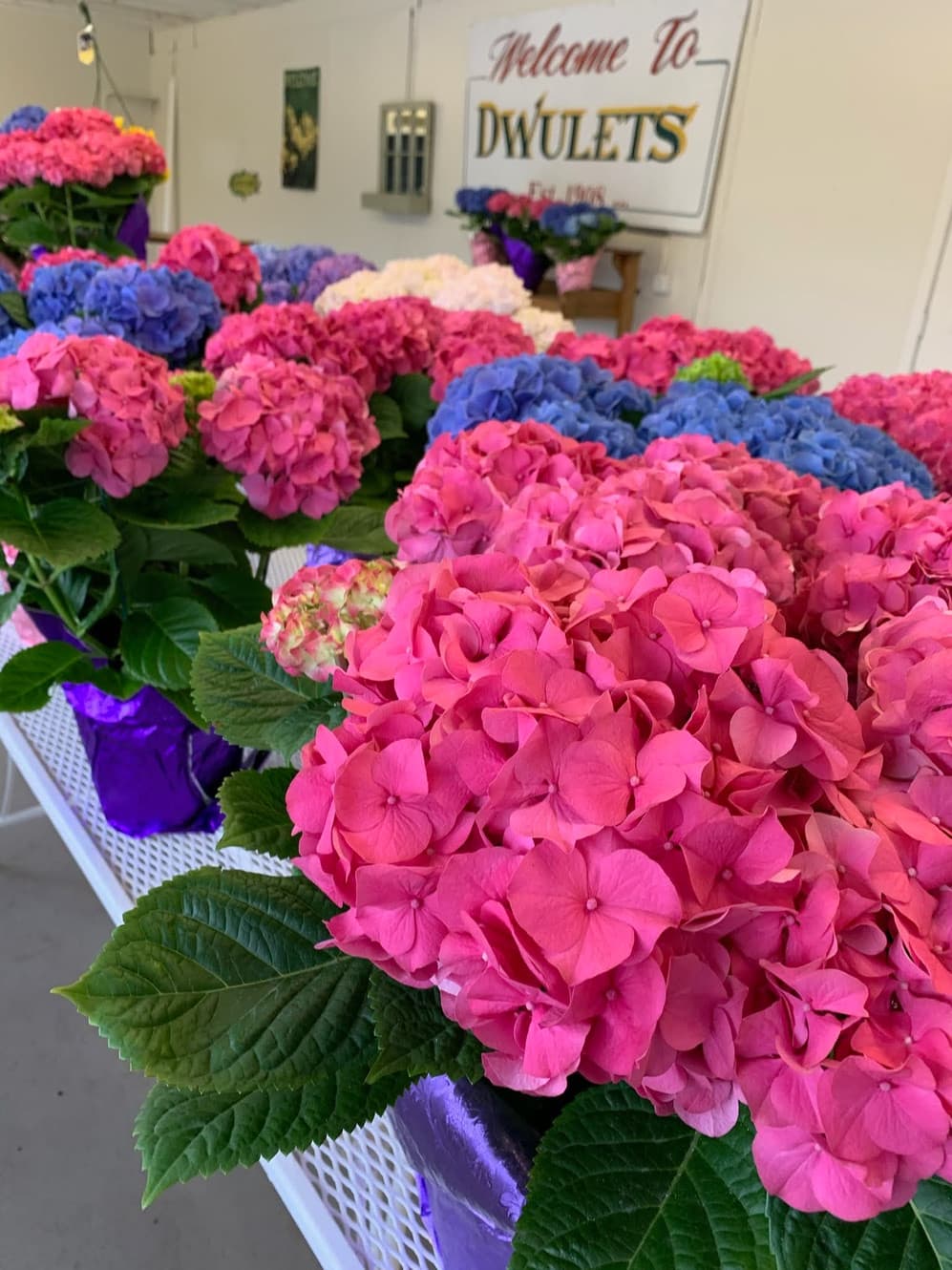 Dwulet's Nursery & Farm Market