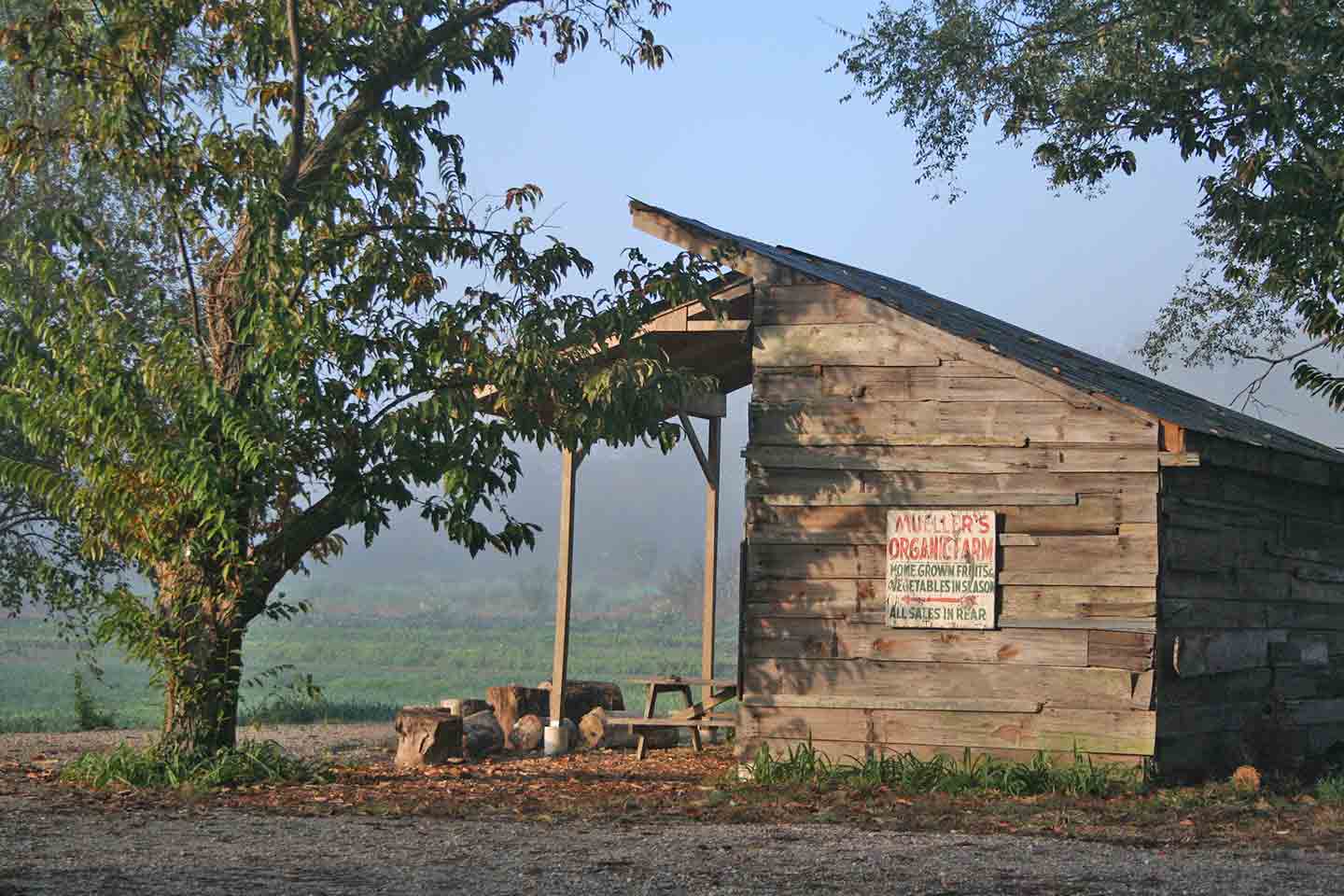 EarthDance Organic Farm School