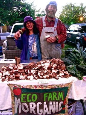 Eco Farm