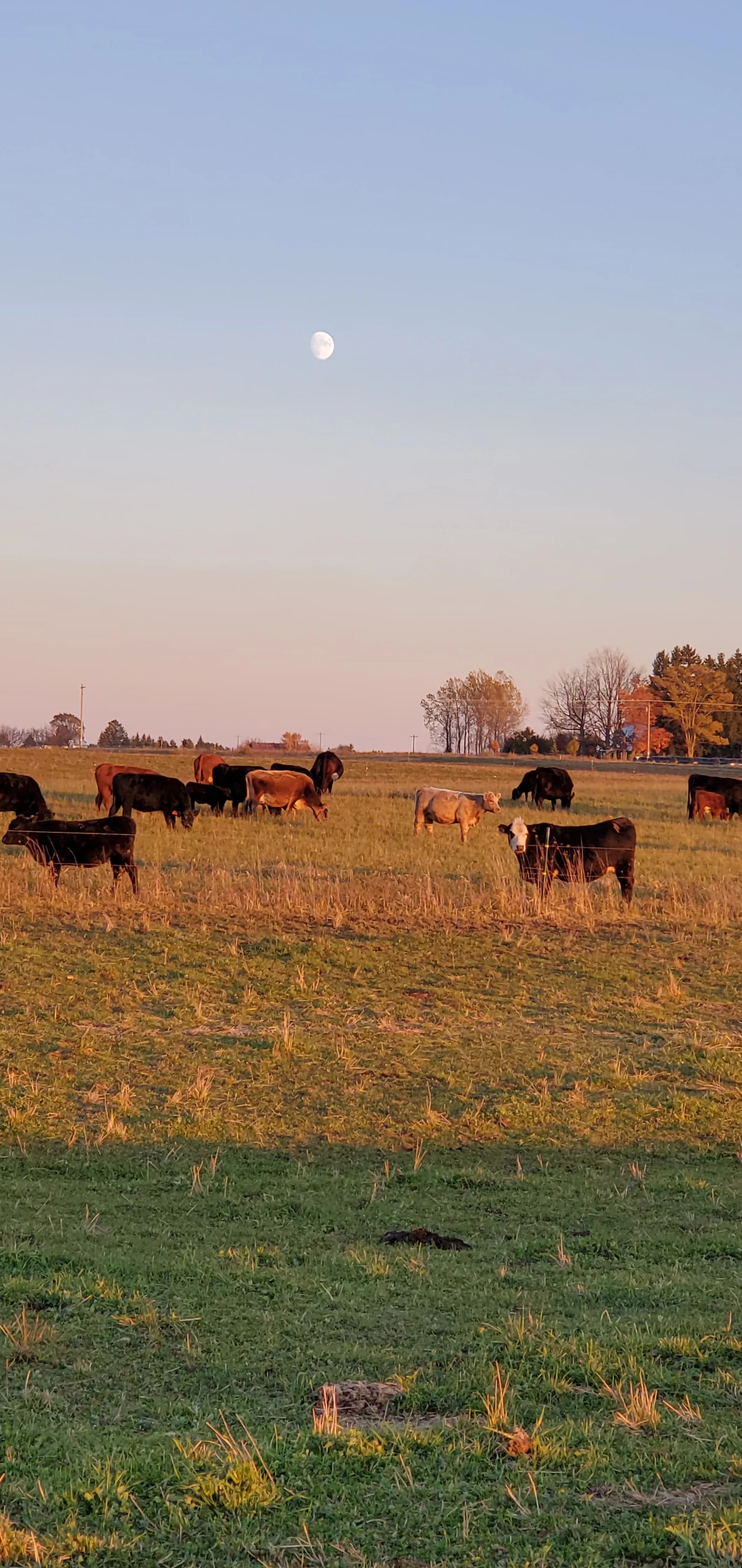 Egeler Family Farm
