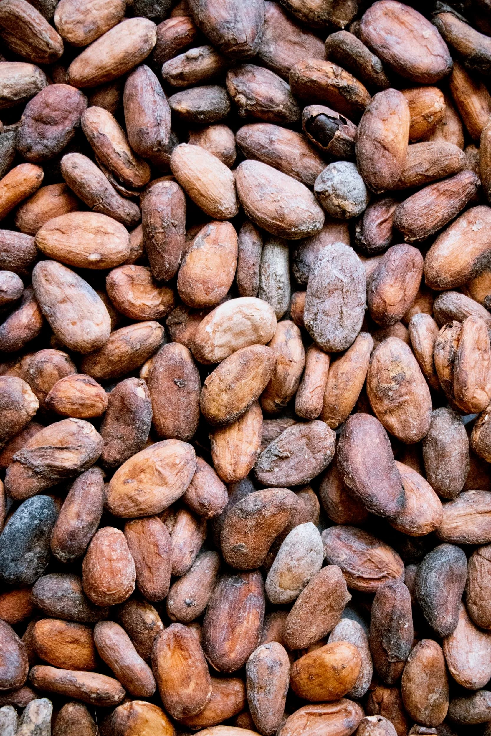 Eigen Chocolate