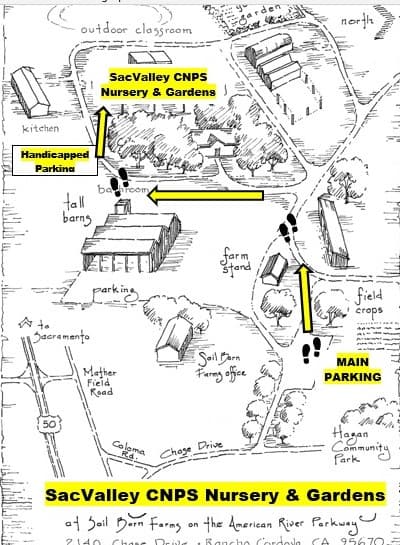 Elderberry Farms Native Plant Nursery