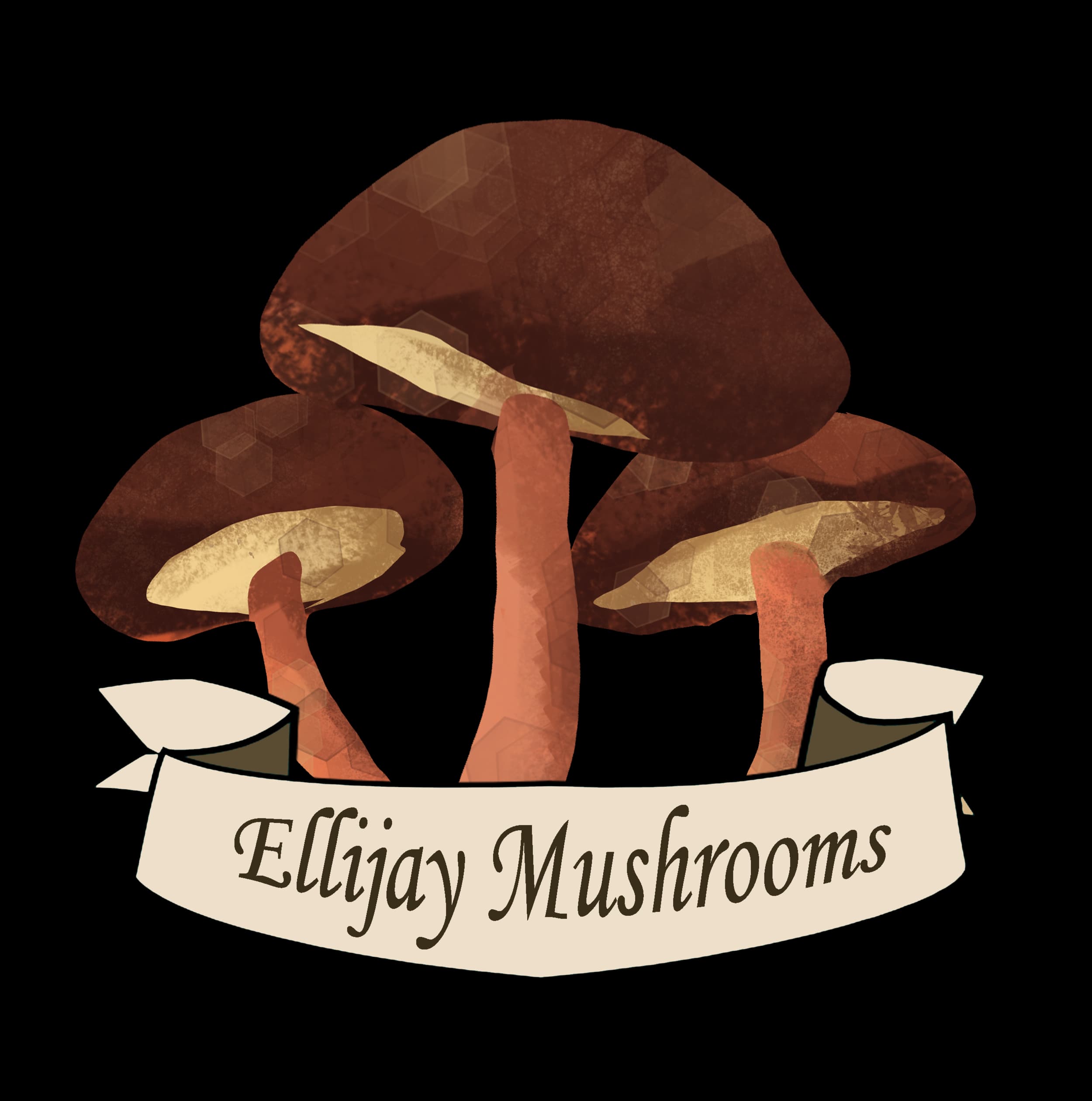 Ellijay Mushrooms-Farm Store
