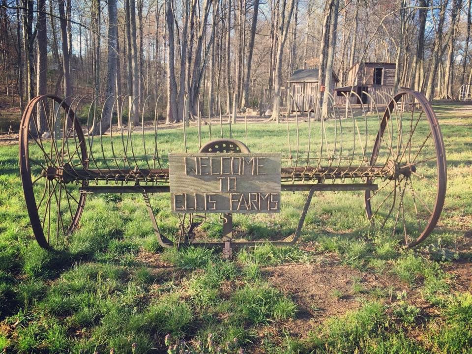 Ellis Farms photo 2