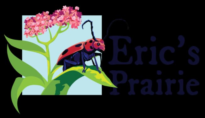 Eric's Prairie photo 2