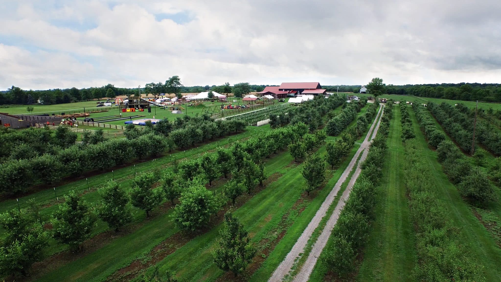 Evans Orchard photo 2