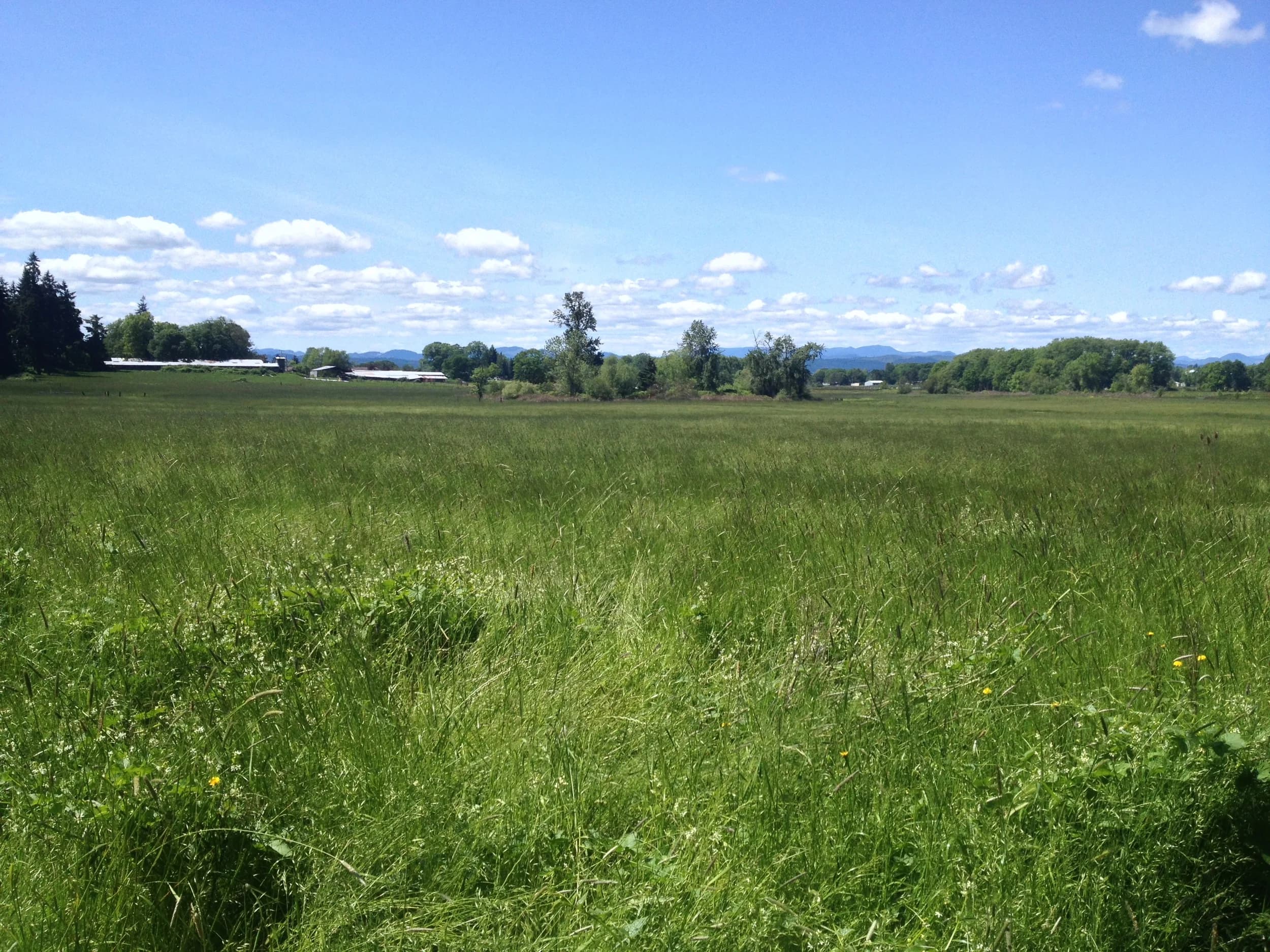 Fair Valley Farm