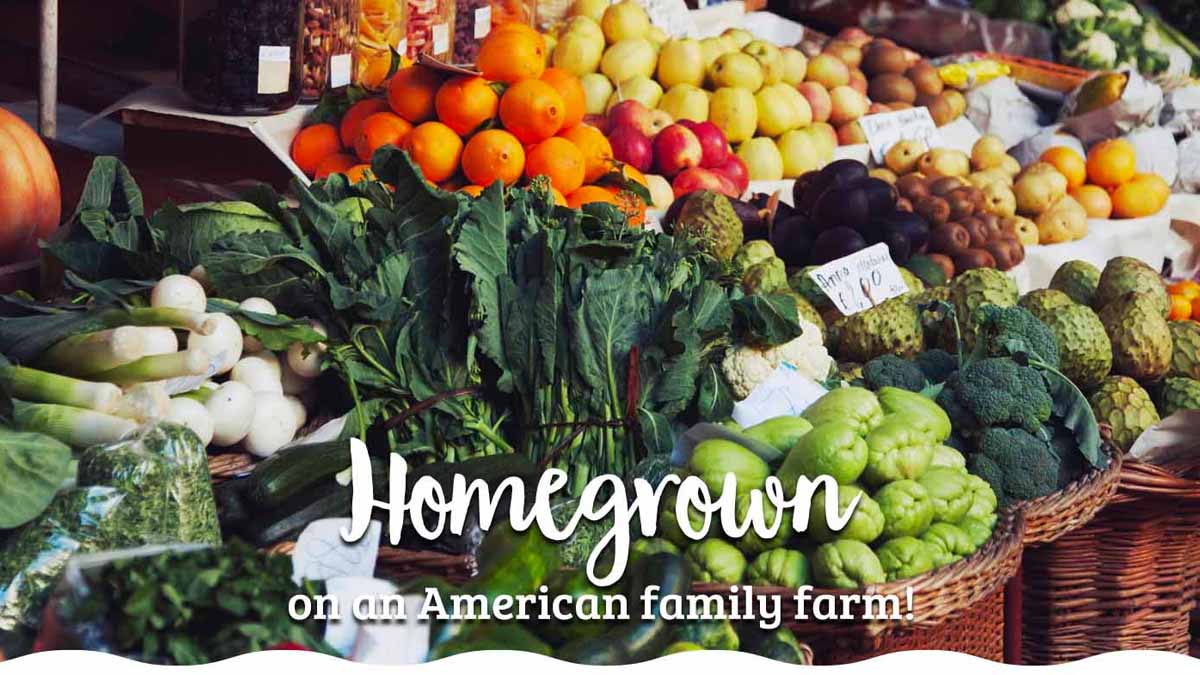 Falcon Ridge Farm