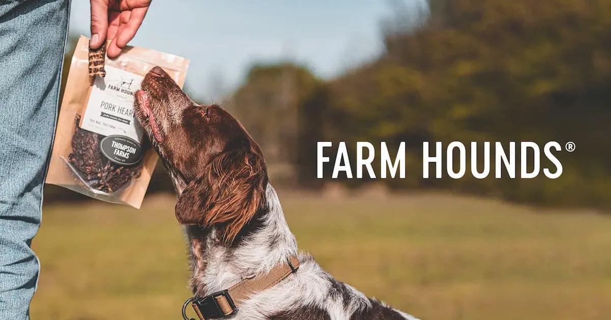 Farm Hounds photo 2