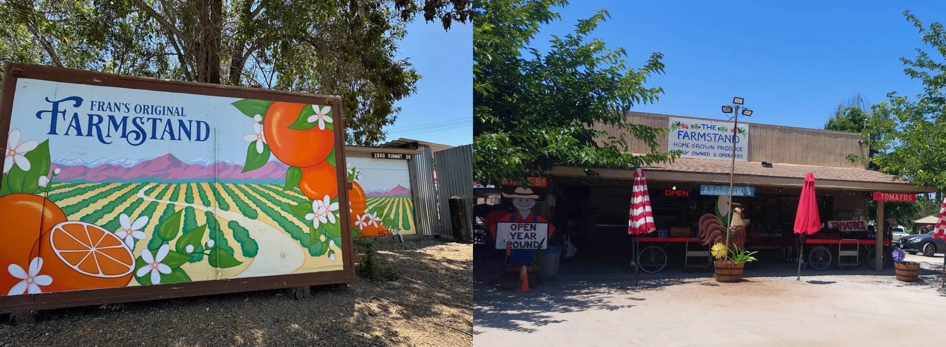 Farm Stand West, Gluten Free Bakery, Fresh Produce, Christmas Trees photo 2