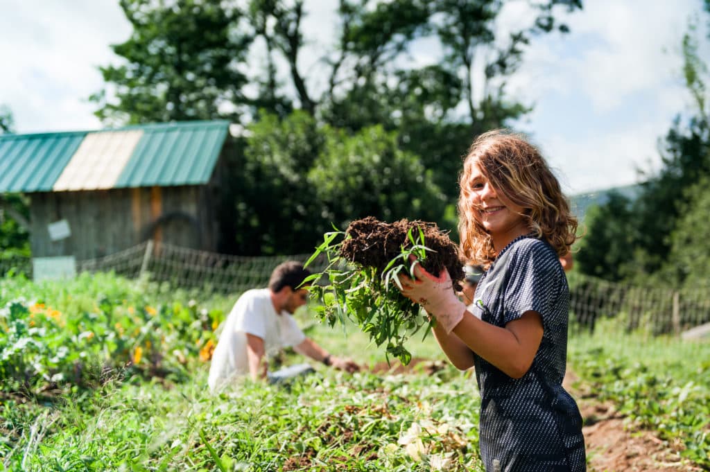 Farm & Wilderness Foundation