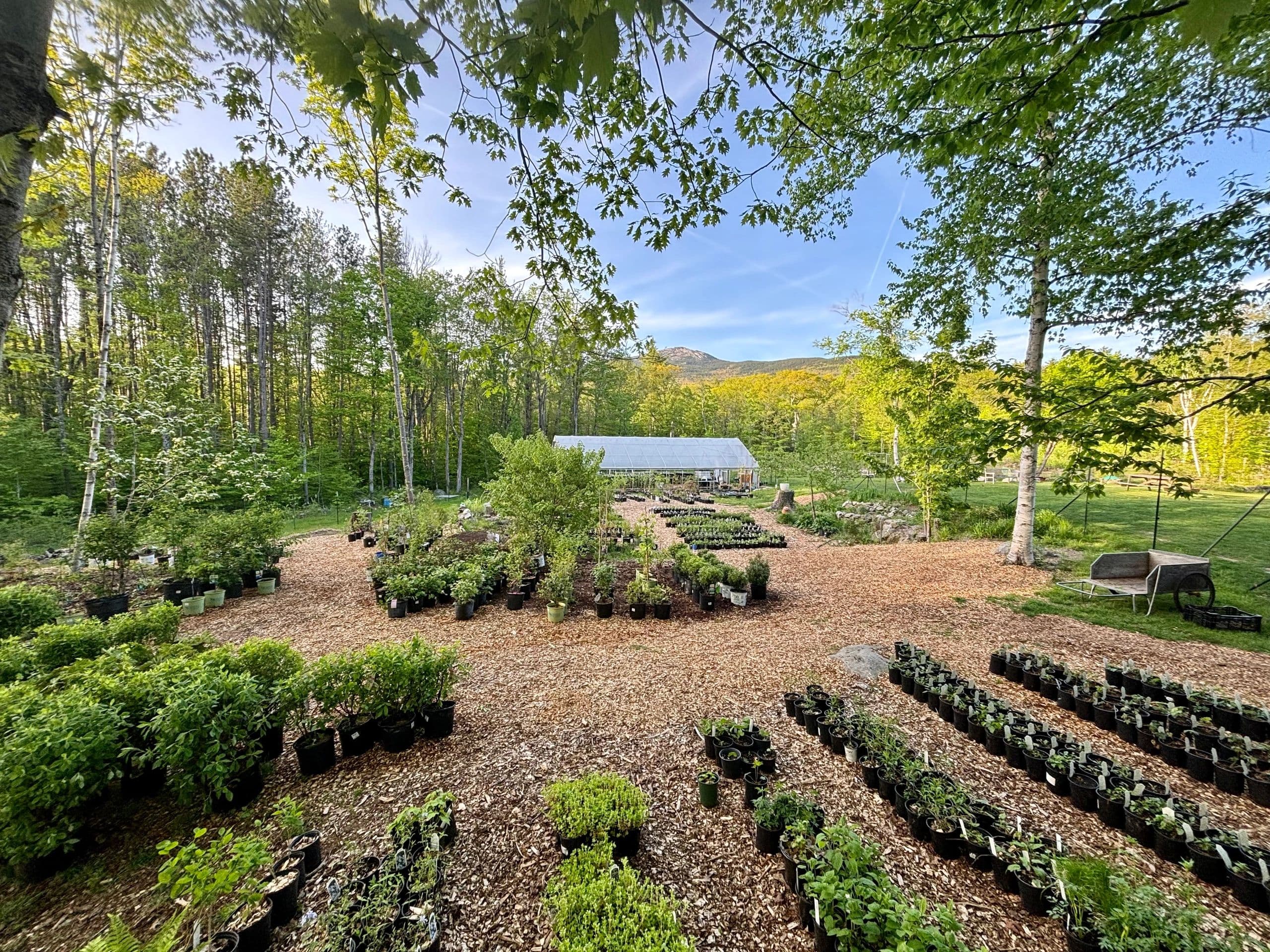 Fassett Farm Nursery