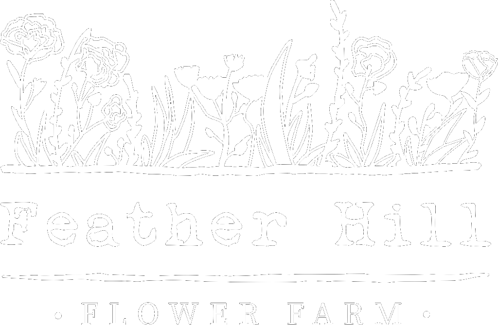 Feather Hill Flower Farm photo 2