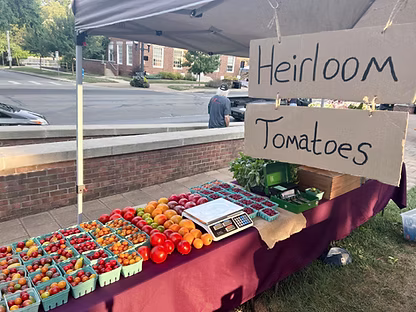 Feed Me Tomatoes
