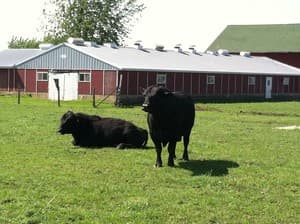 Fehr Brothers Farm