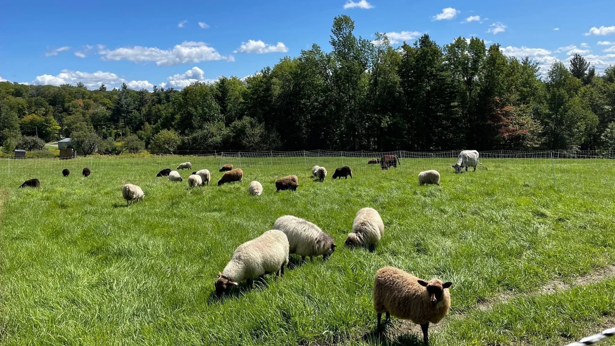 Fern River Farm