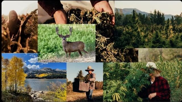 Fields of Glory Organic Farm photo 2