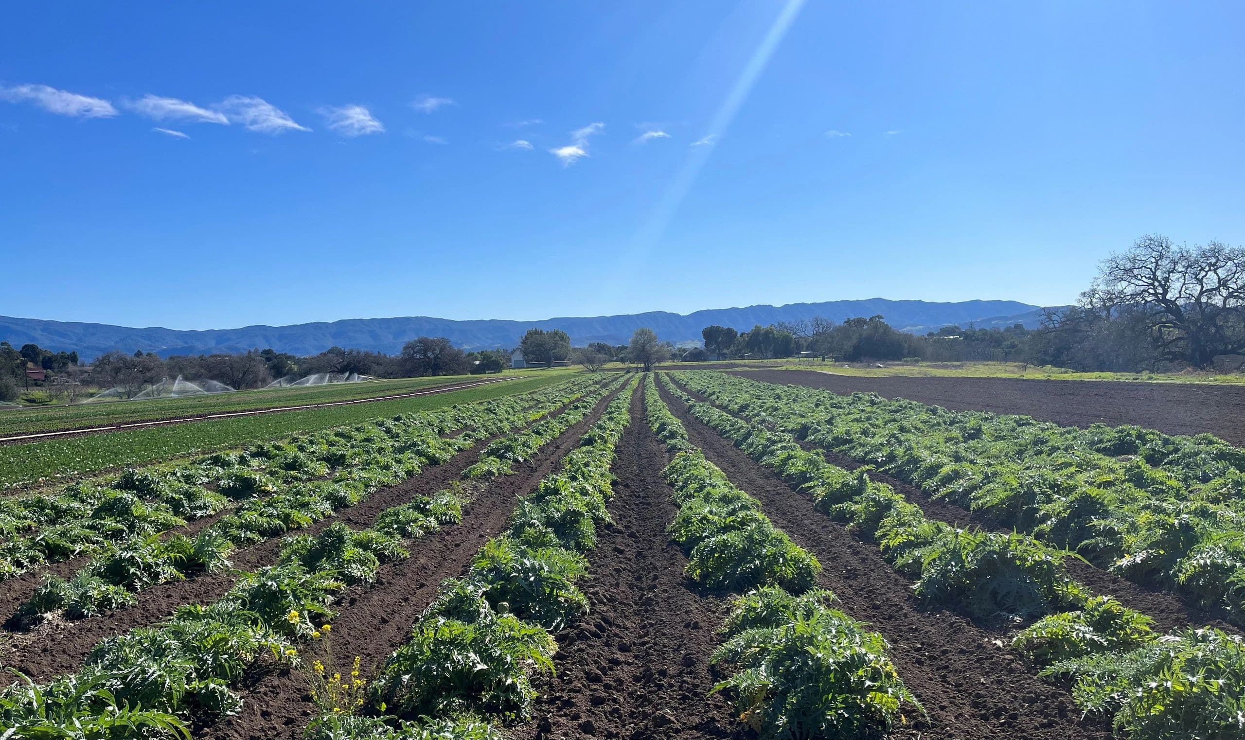 Finley Farms photo 2