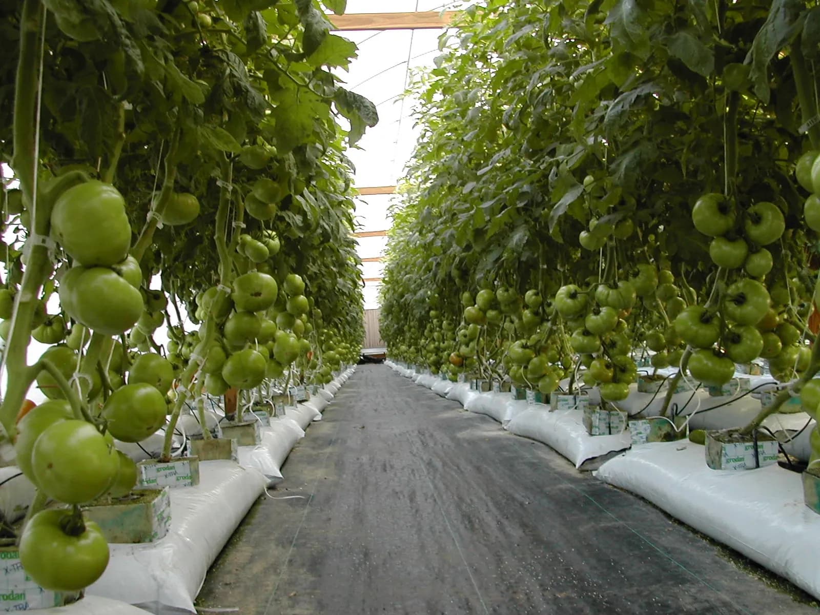Flat River Nursery & Farm
