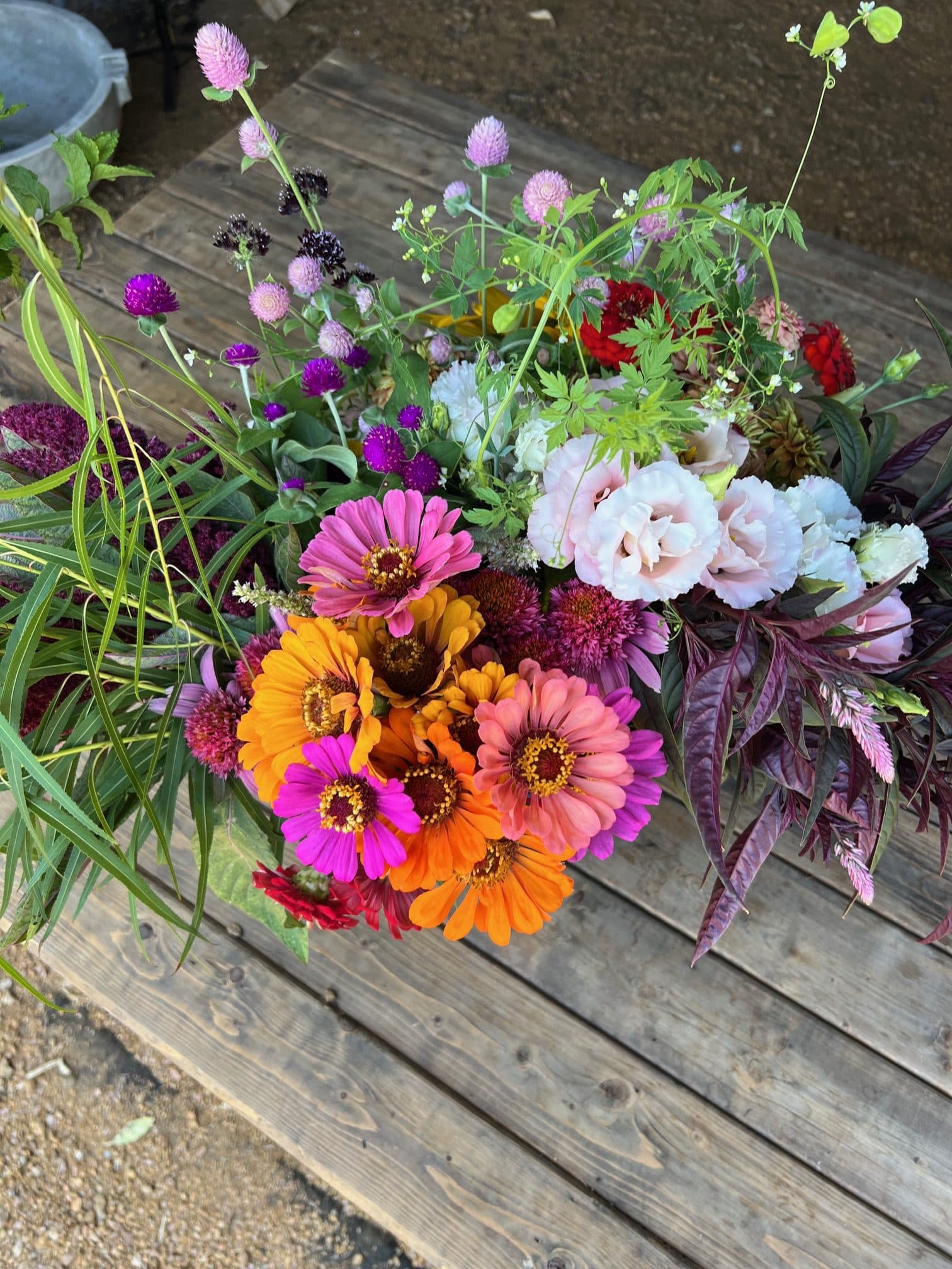 Flower Farm photo 2