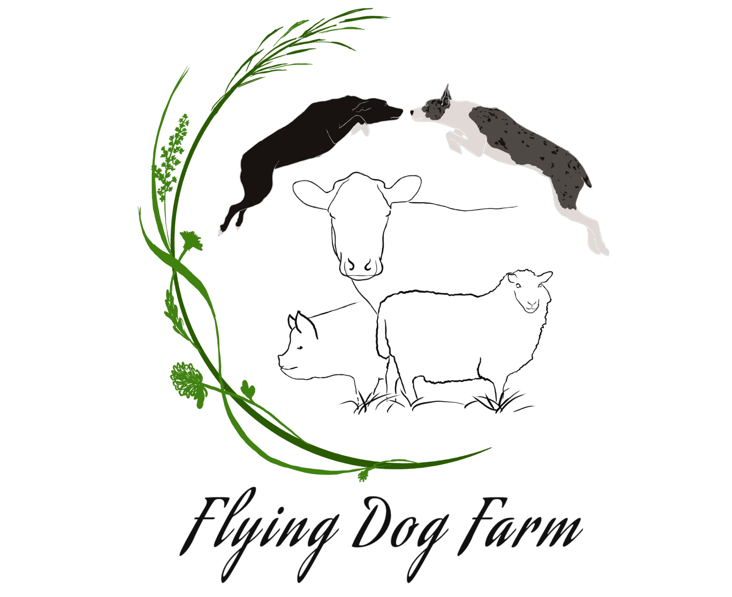 Flying Dog Farm