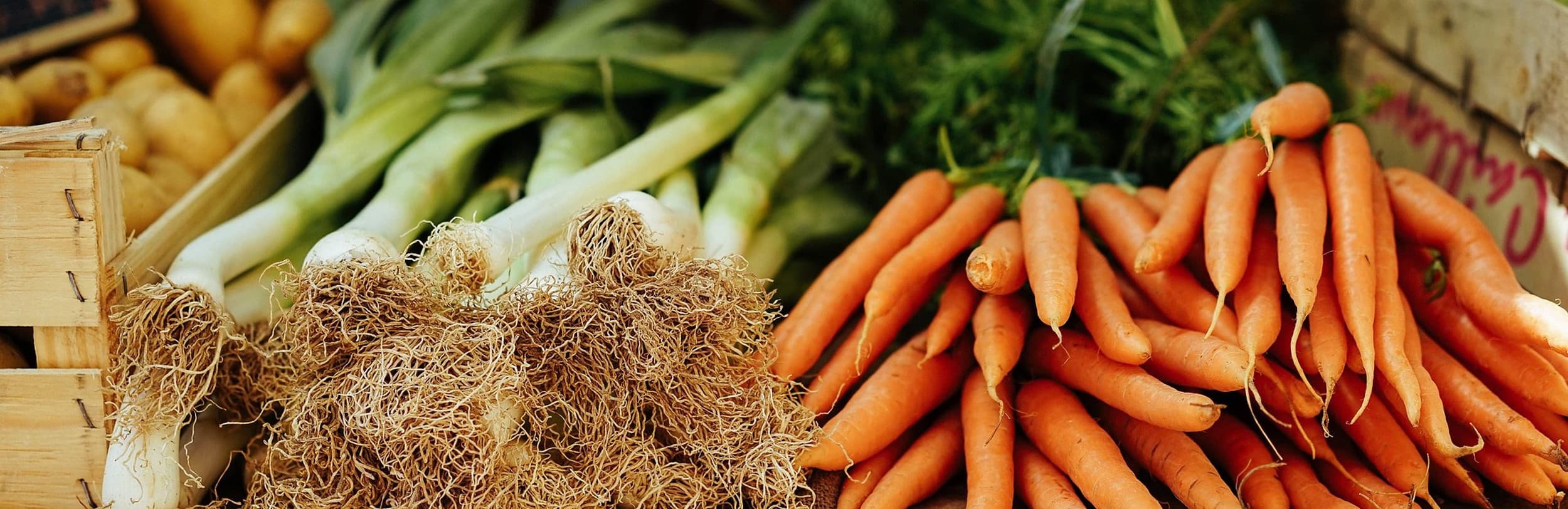 Forest Farmers Market