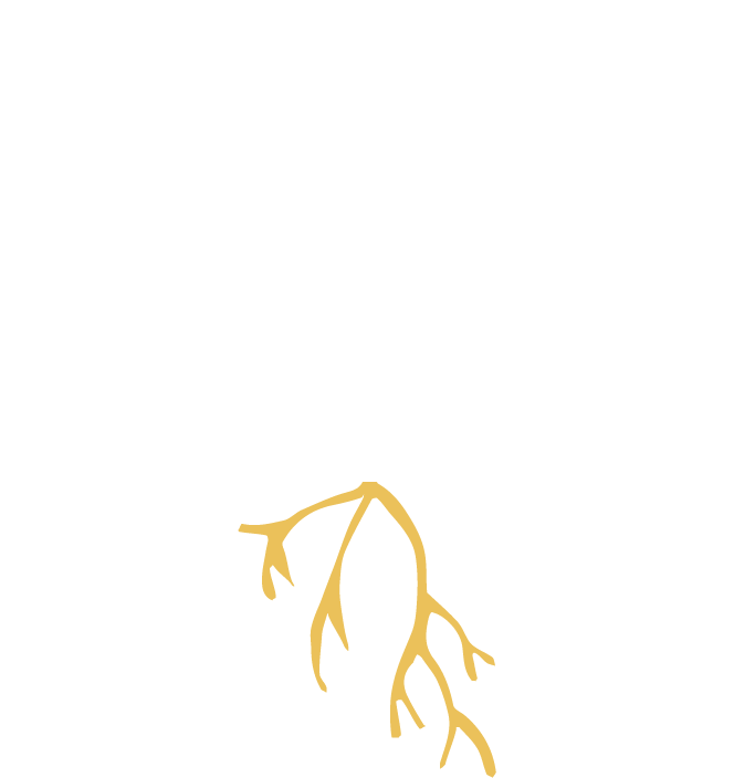 Forest Gold Botanicals photo 2
