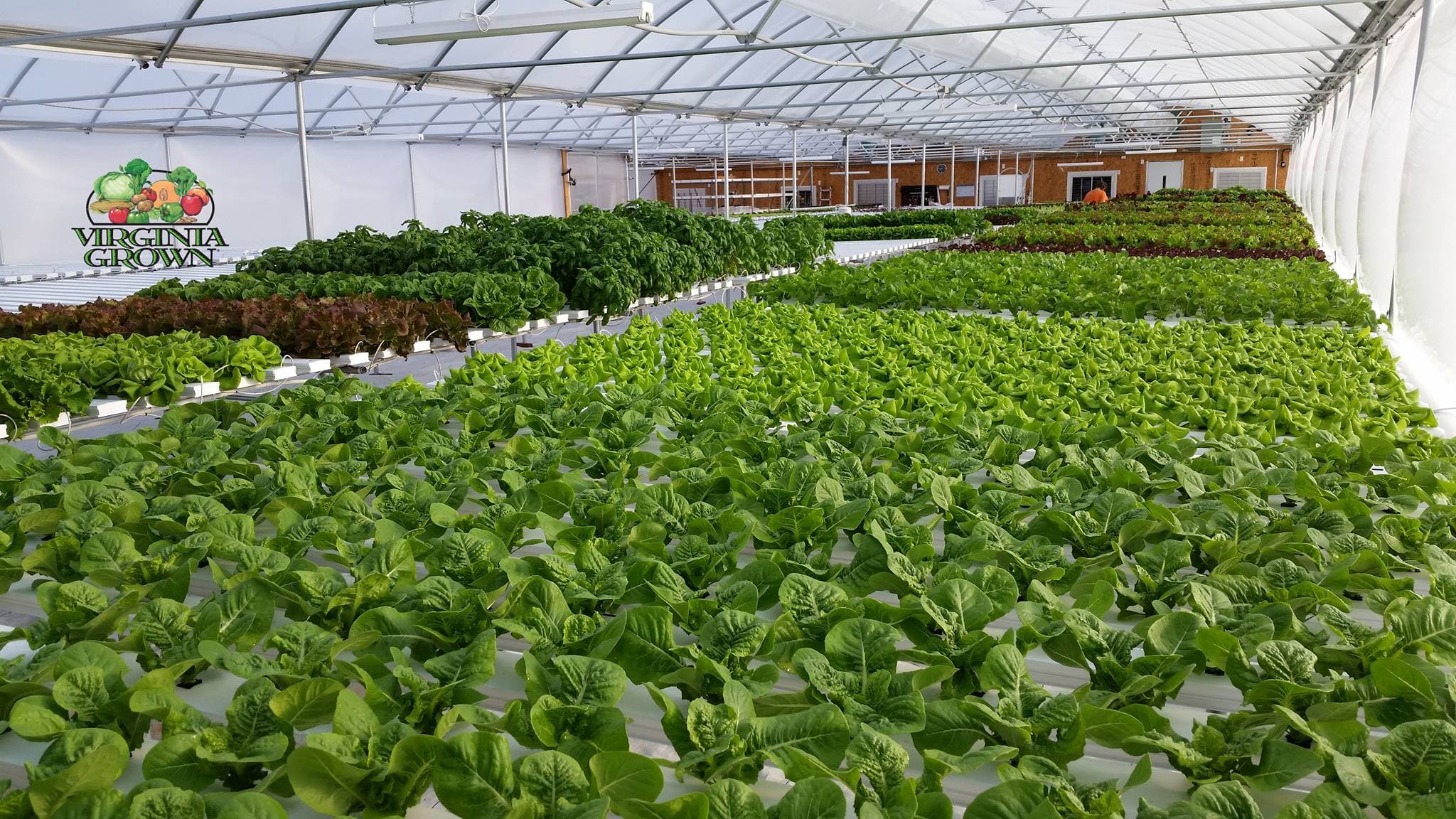 Four Oaks Farms