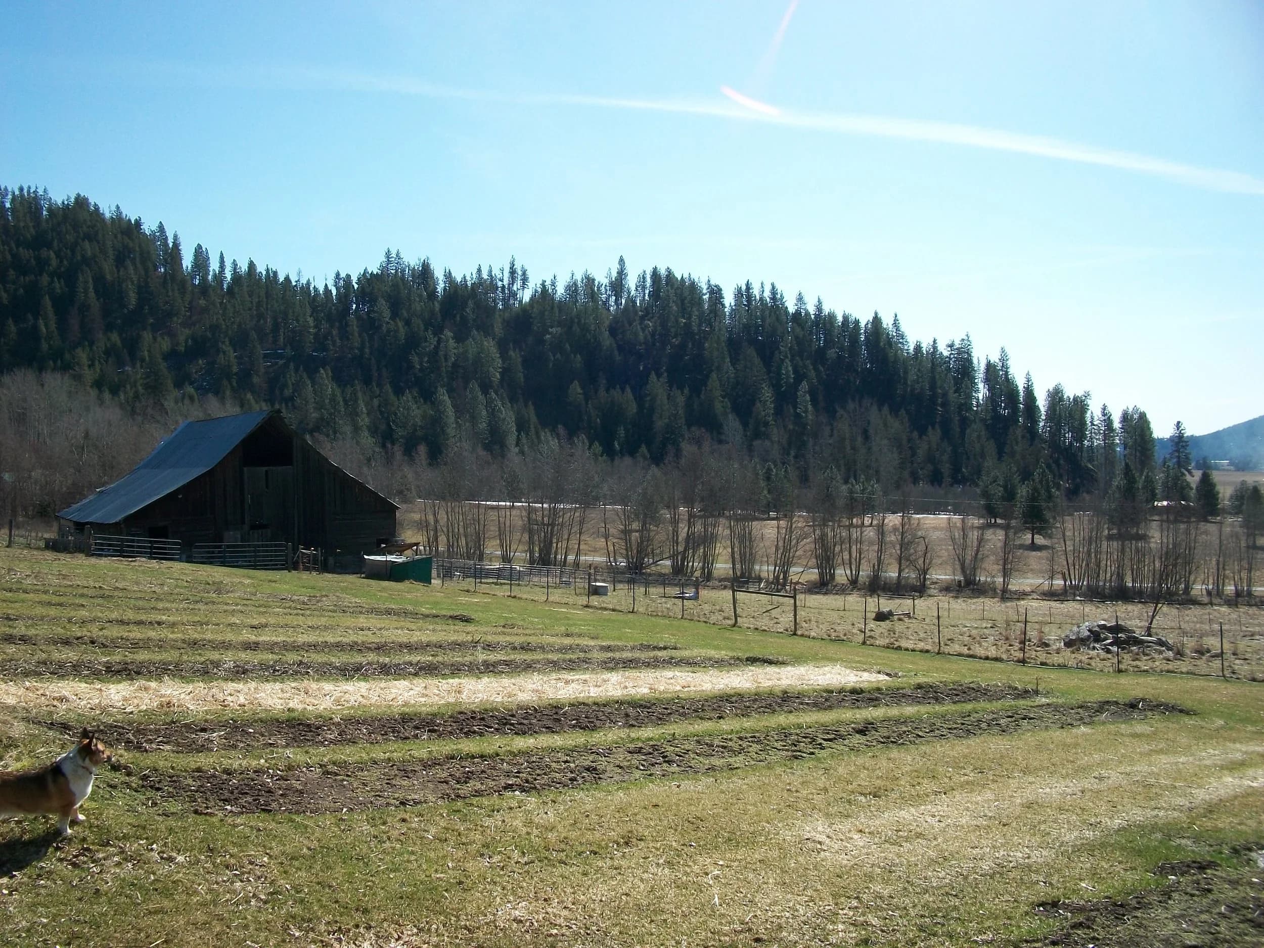 Four Seasons Farm