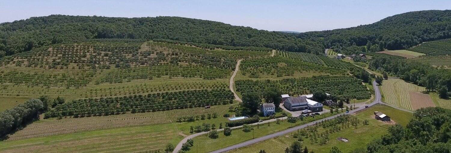 Frecon Farms photo 2
