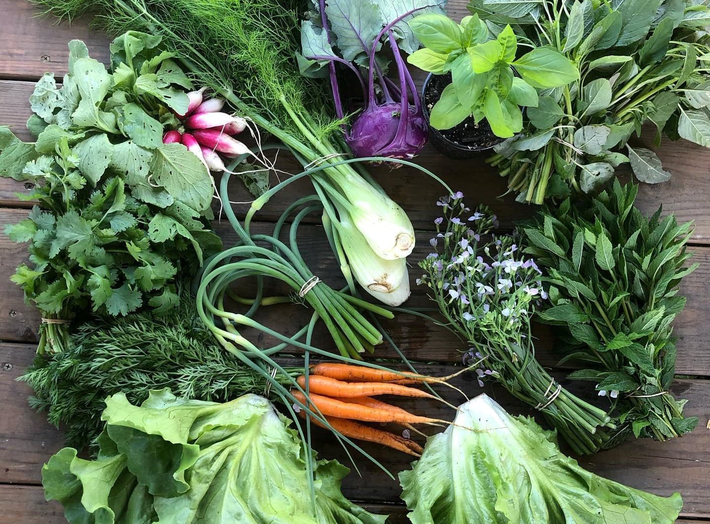 Fresh Meadow Farm