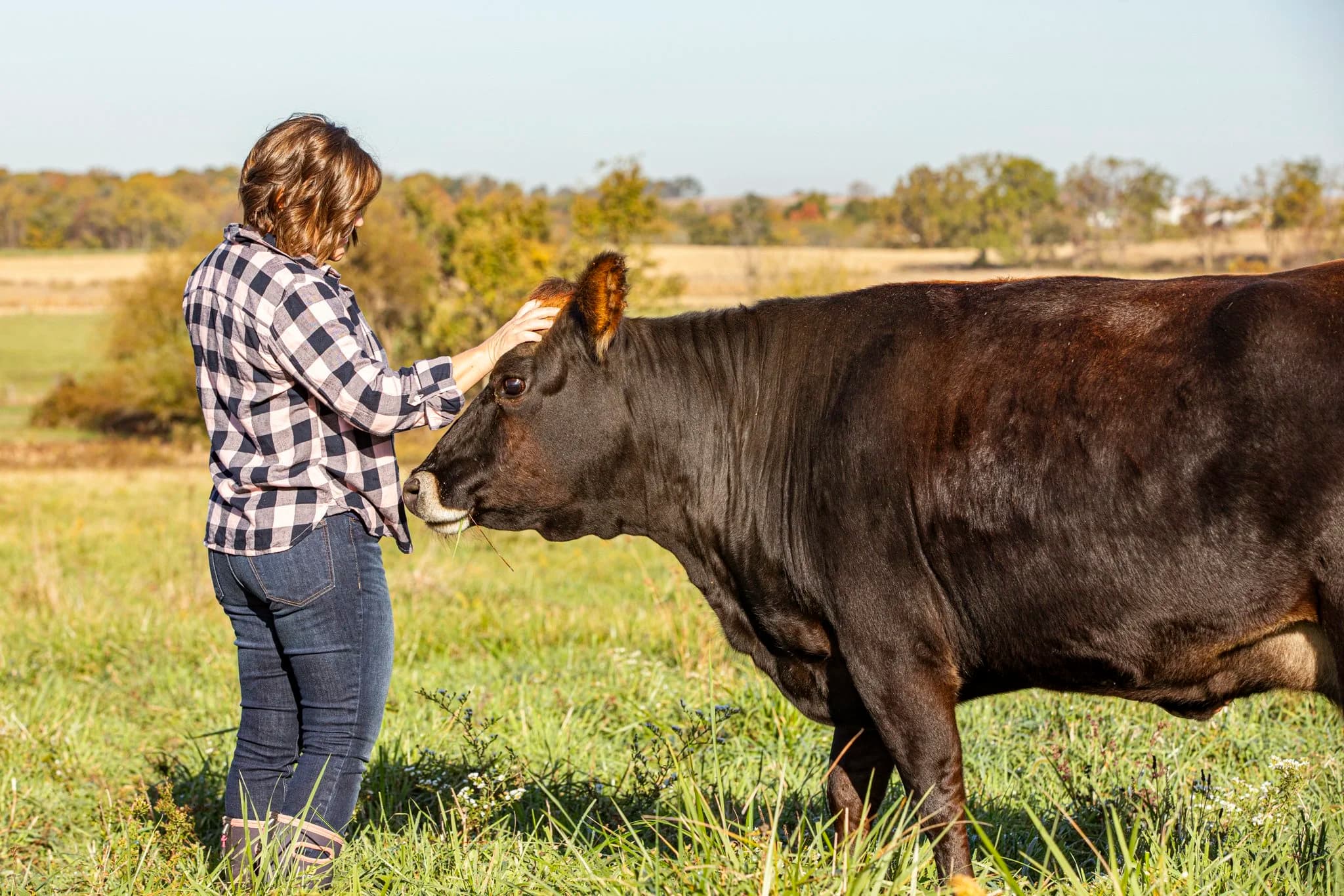 FreshORR Family Farms