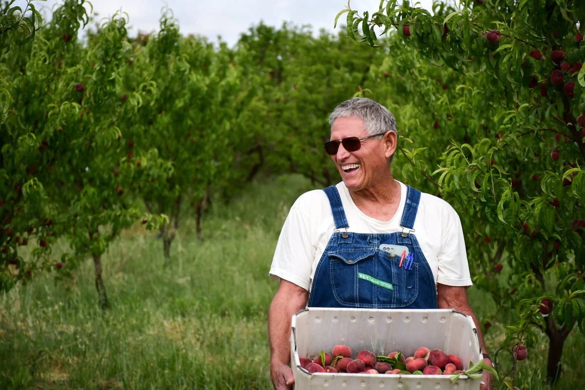 Frog Hollow Farms