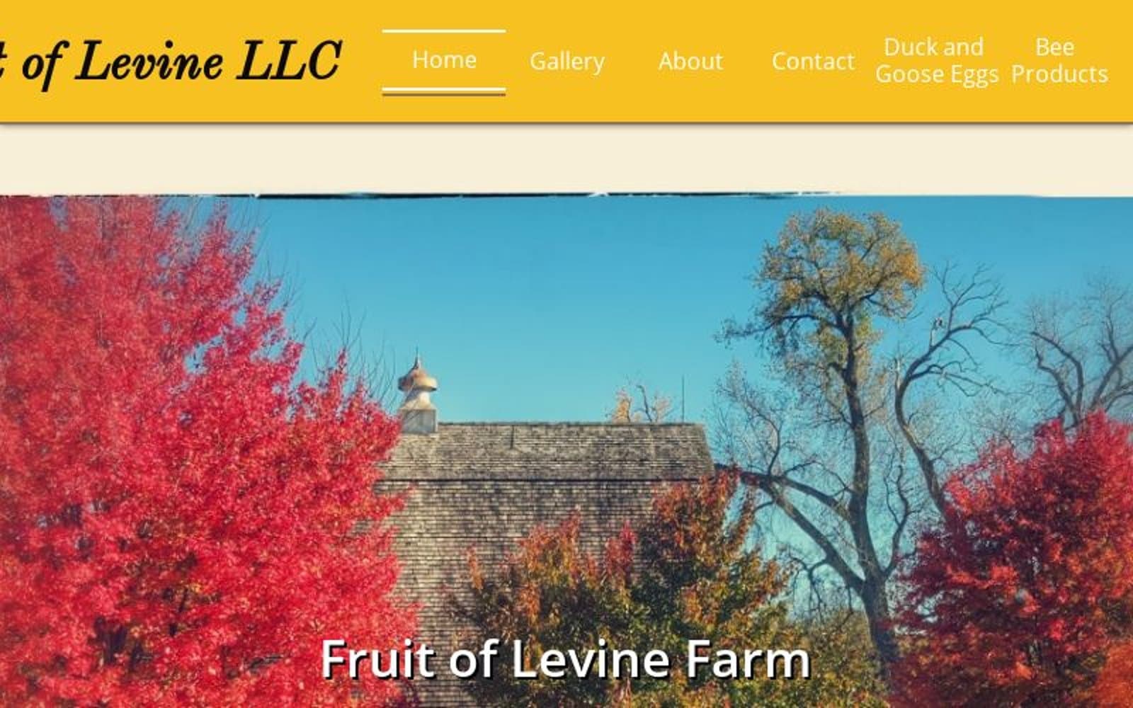 Fruit Of Levine LLC