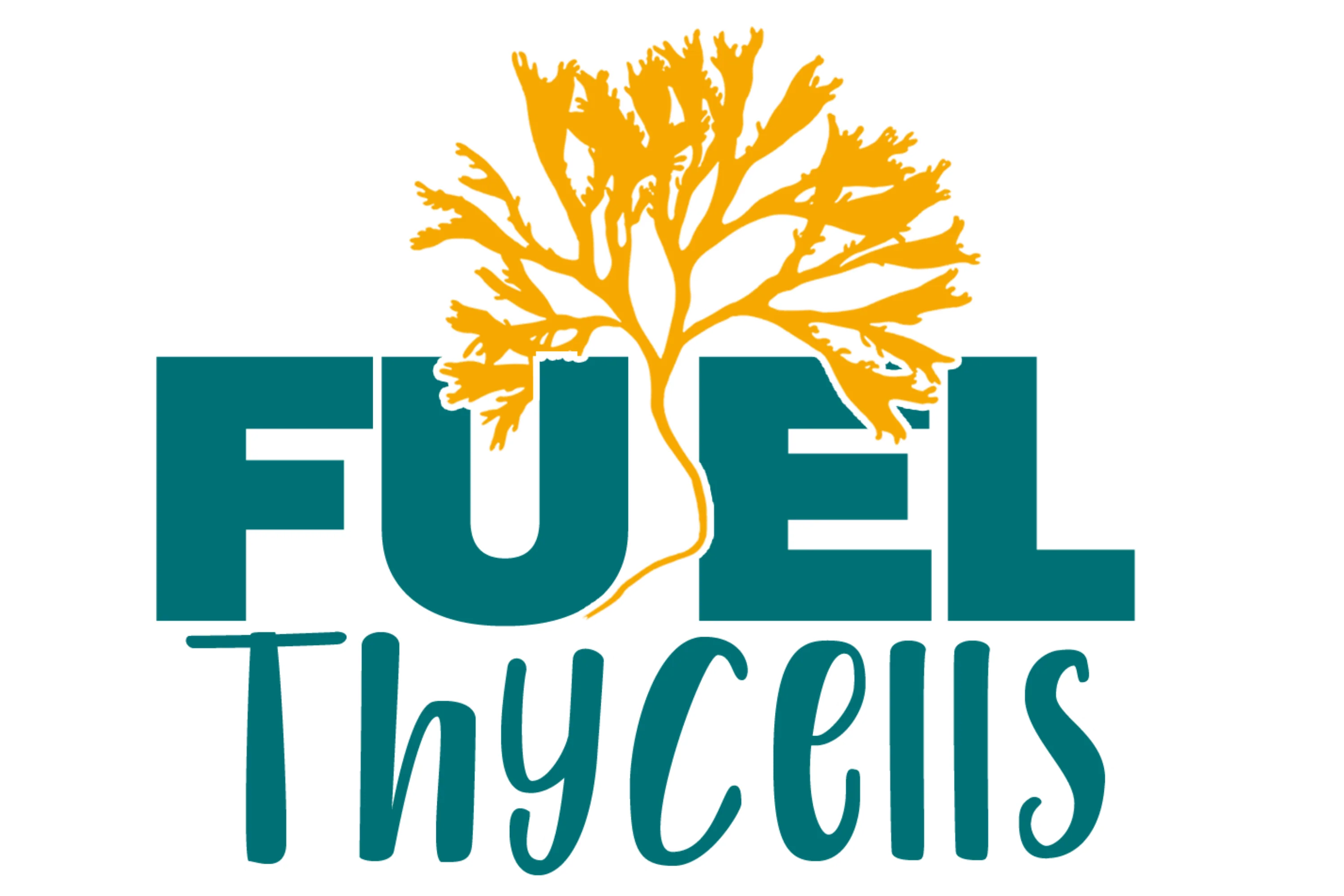 Fuel Thy Cells
