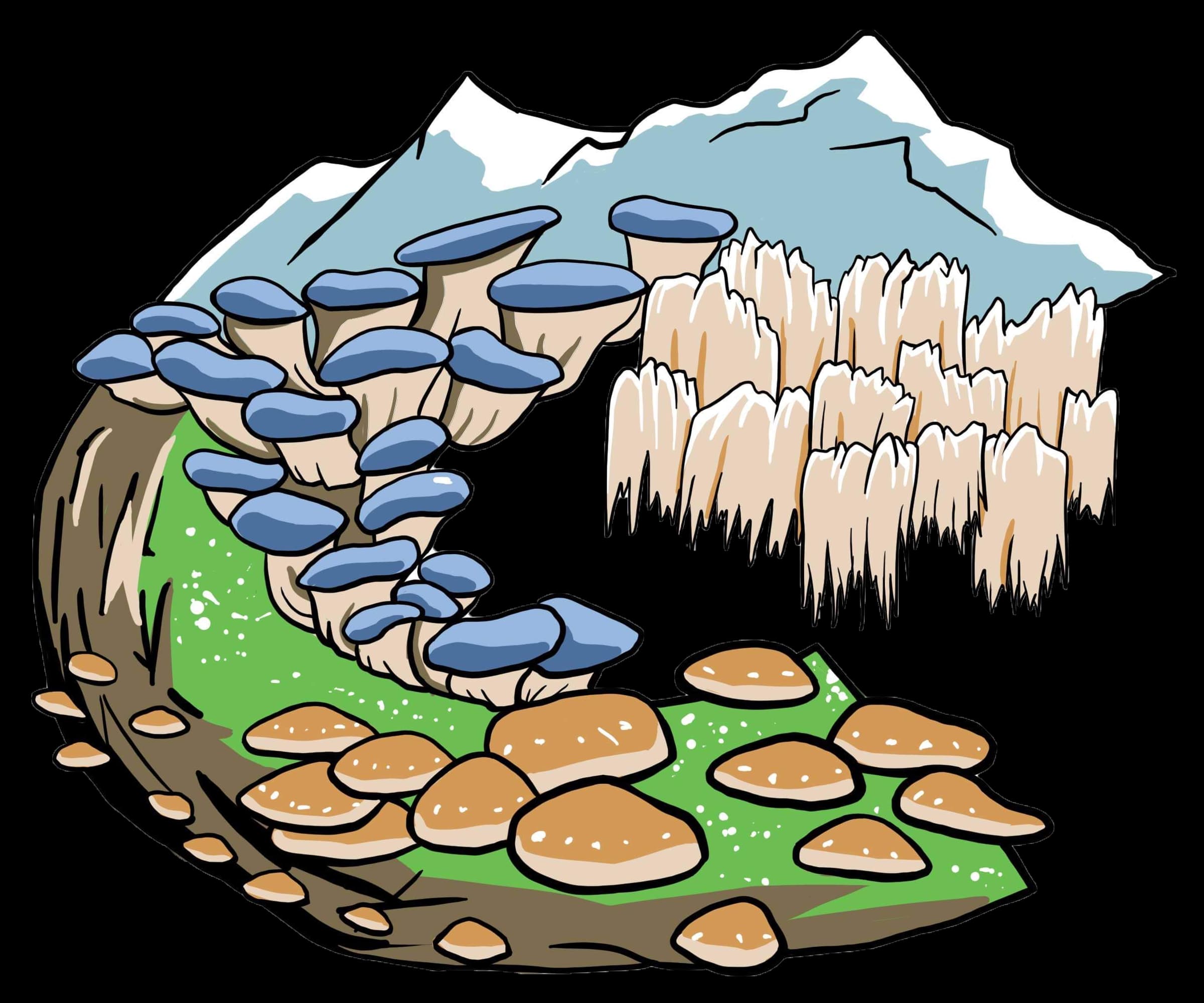 Fungus Farm Colorado photo 2