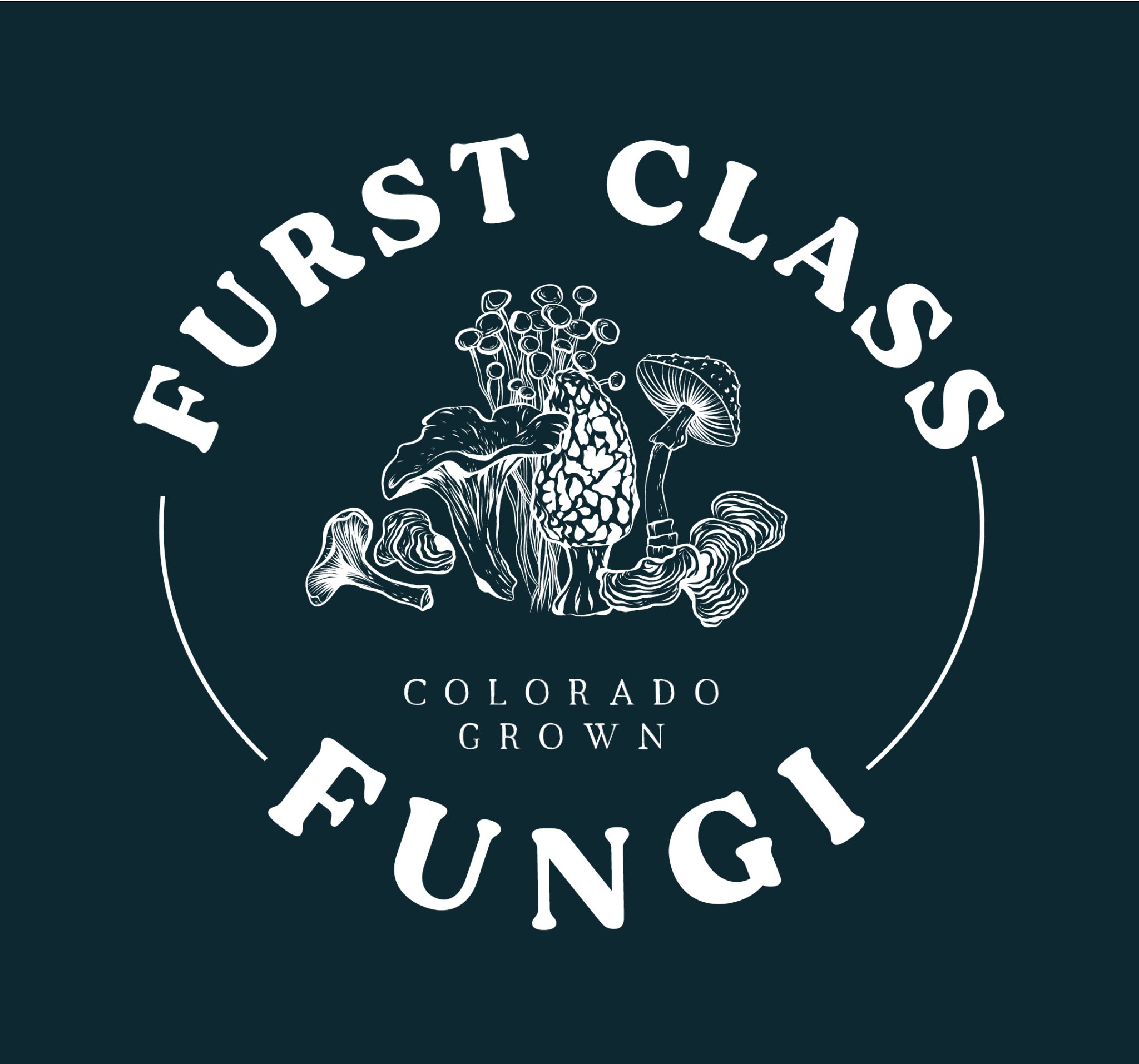 Furst Class Fungi photo 2