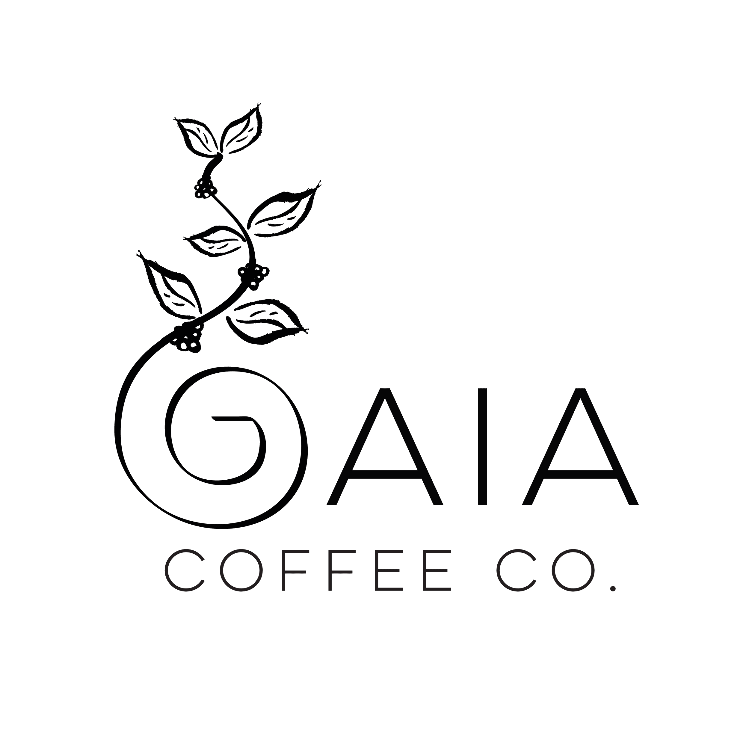 GAIA Coffee photo 2