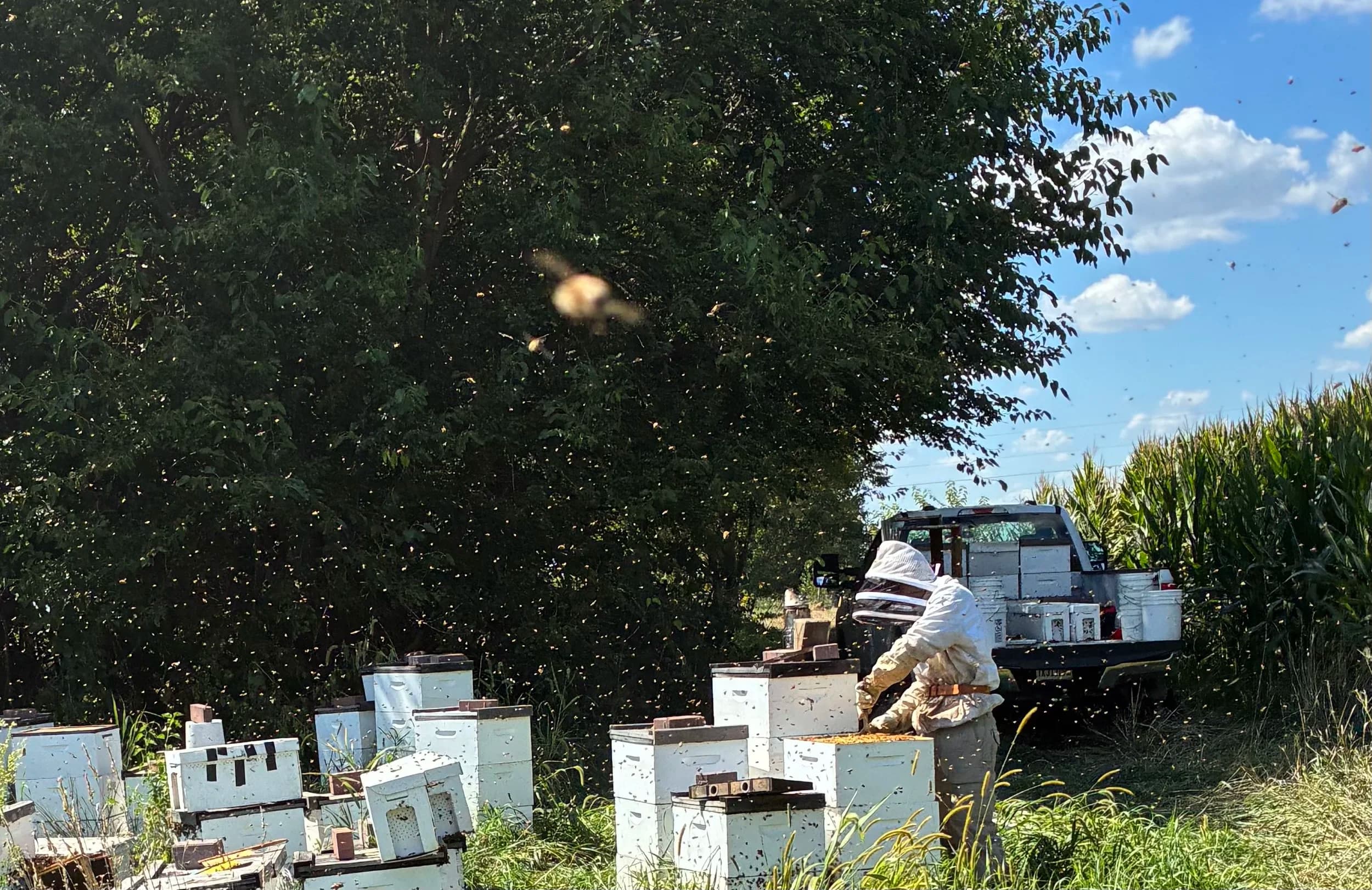Garfield Honey Co. photo 2