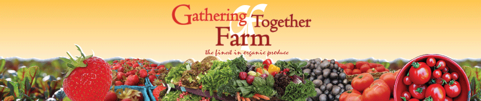 Gathering Together Farm photo 2