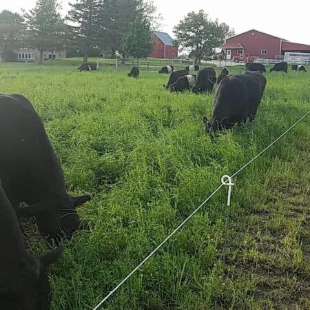Gehrke Grass-Fed Beef photo 2