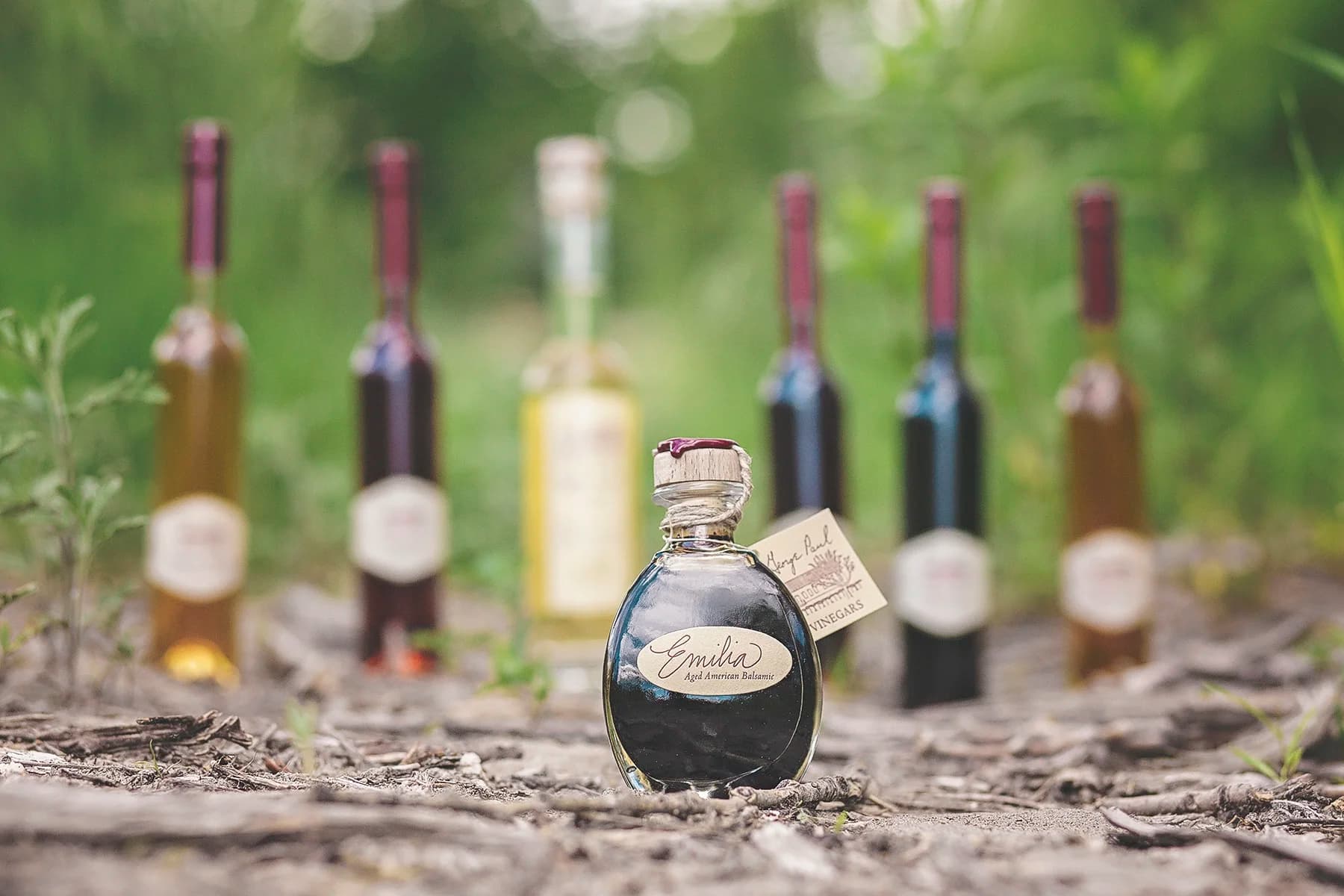 George Paul Vinegar