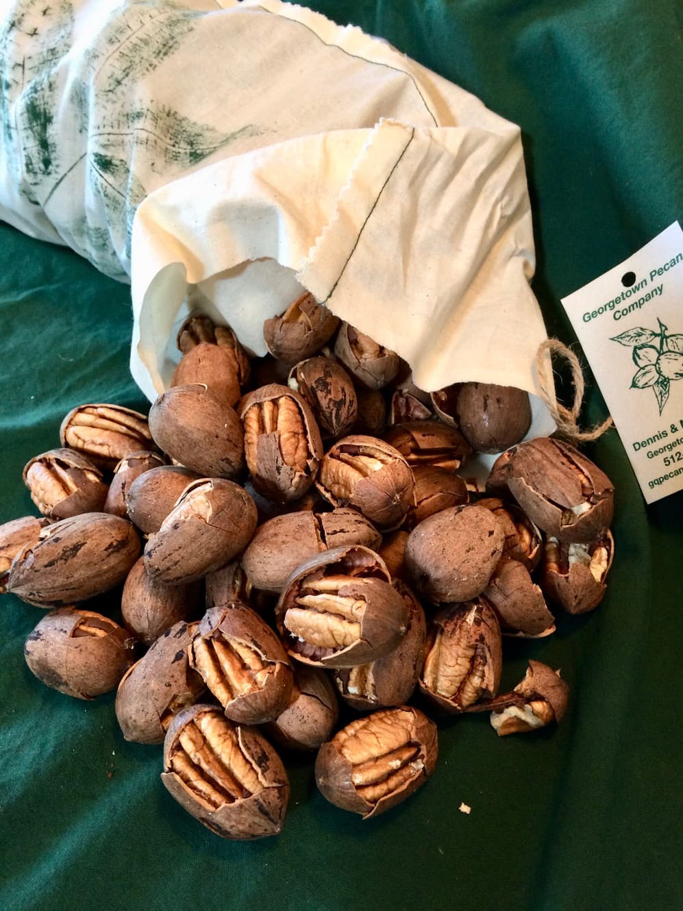 Georgetown Pecan