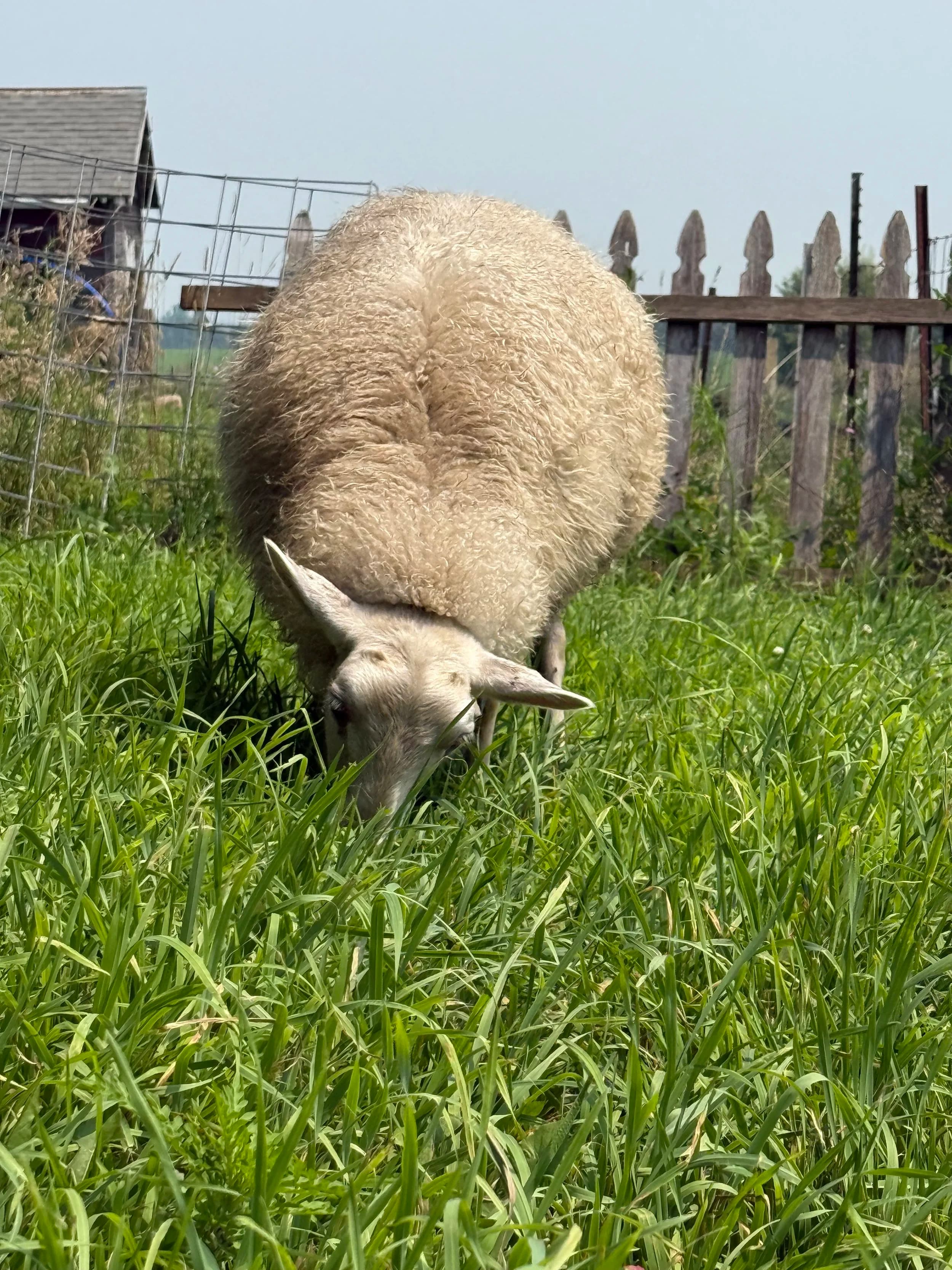 Get Bentz Farm photo 2