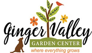 Ginger Valley photo 2