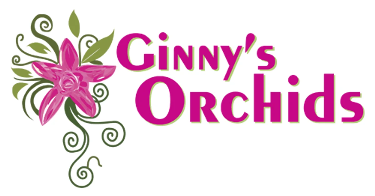 Ginny’s Orchids