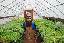 Good Earth Farm