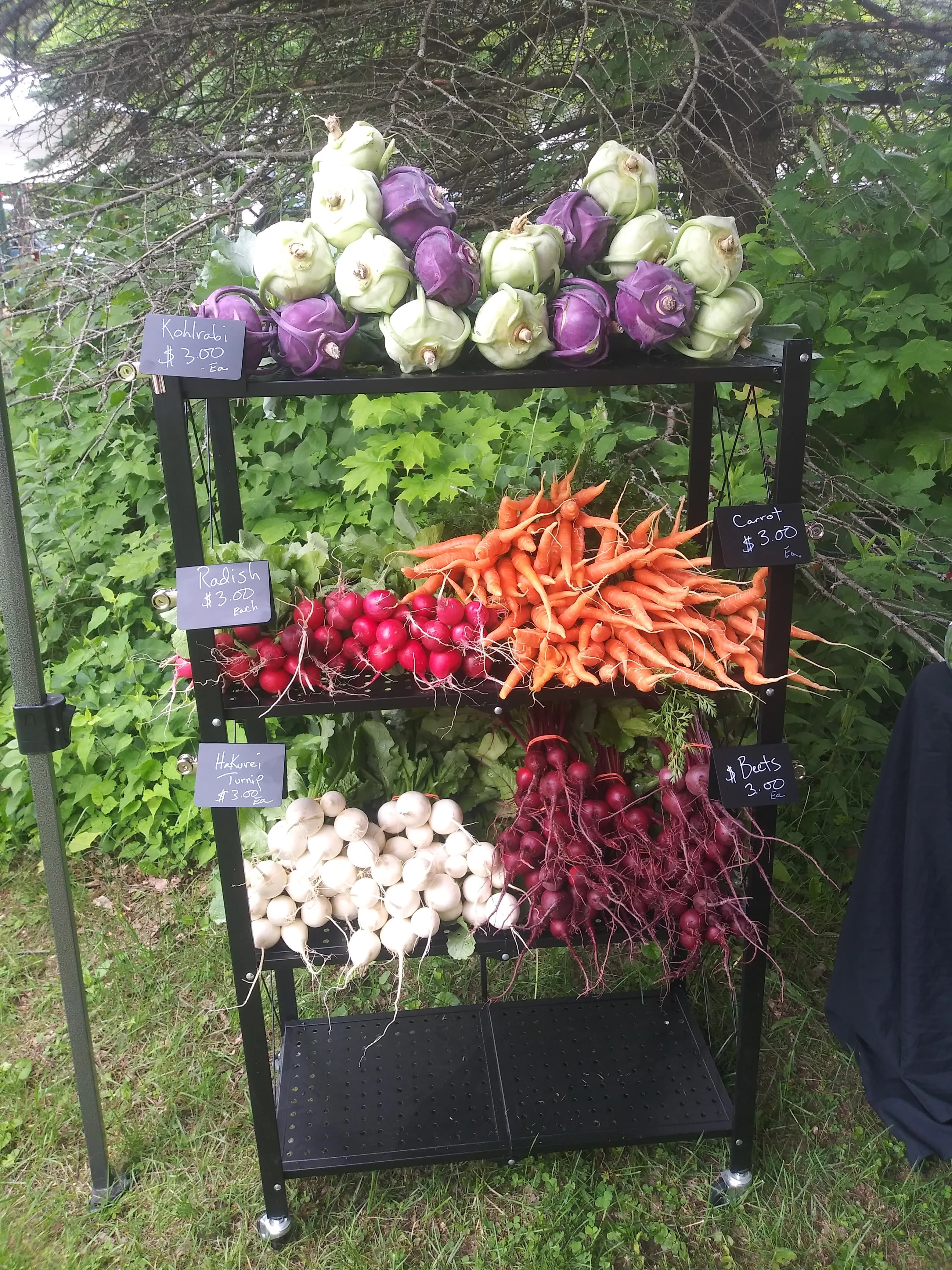 Gould Acres Farm